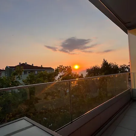 Summer Vibe Wave シオーフォク